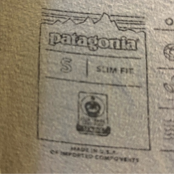 Patagonia Fitz Roy bear mountain design organic cotton tshirt - Picture 4 of 8